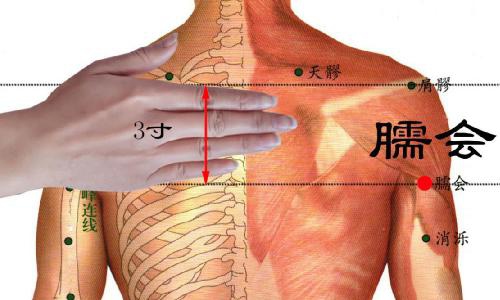 臑会穴准确位置视频图作用功效配穴方法